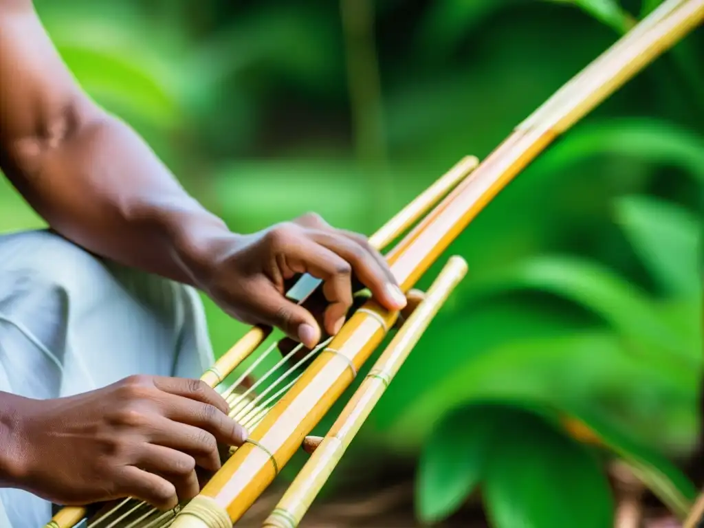 Un músico toca el laúd tubular de bambú Madagascar en un paisaje exuberante